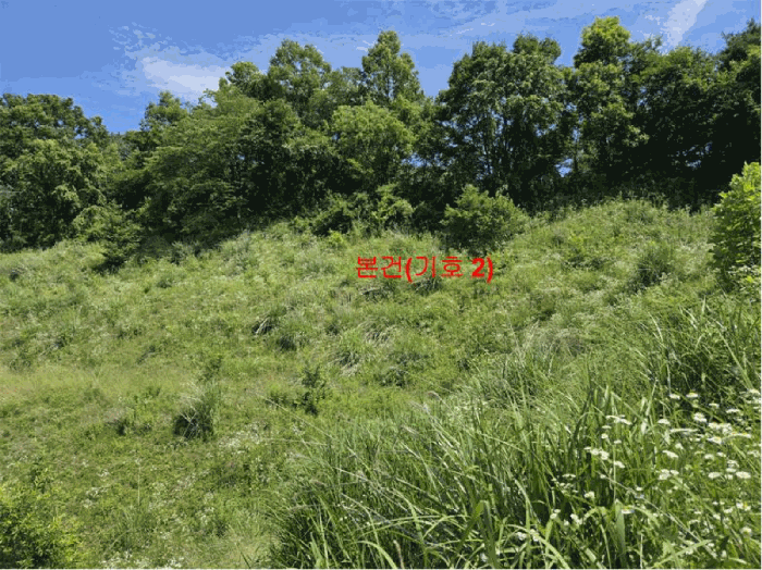 경상남도 함양군 유림면 서주리 713 외 5필지 전 경매 사진 11