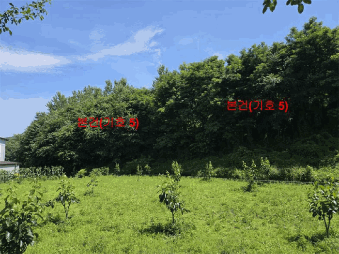 경상남도 함양군 유림면 서주리 713 외 5필지 전 경매 사진 13