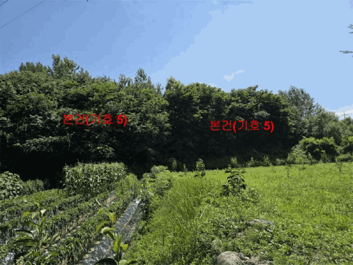 경상남도 함양군 유림면 서주리 713 외 5필지 전 경매 사진 17