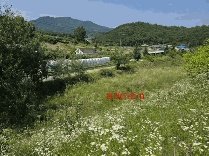 경상남도 함양군 유림면 서주리 713 외 5필지 전 경매 사진 3