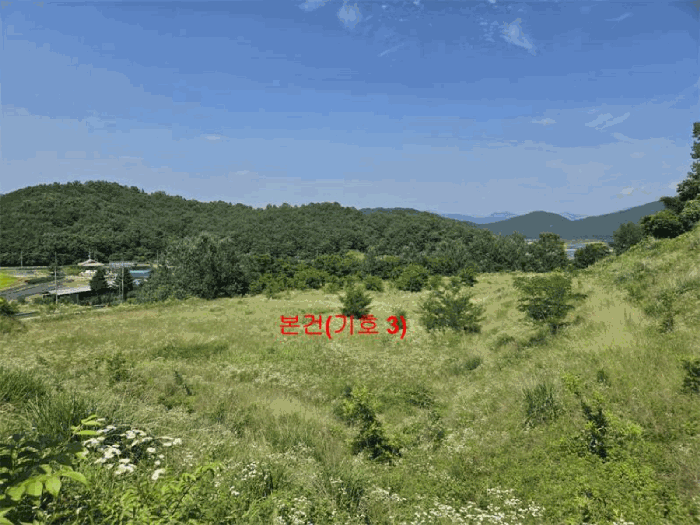 경상남도 함양군 유림면 서주리 713 외 5필지 전 경매 사진 4