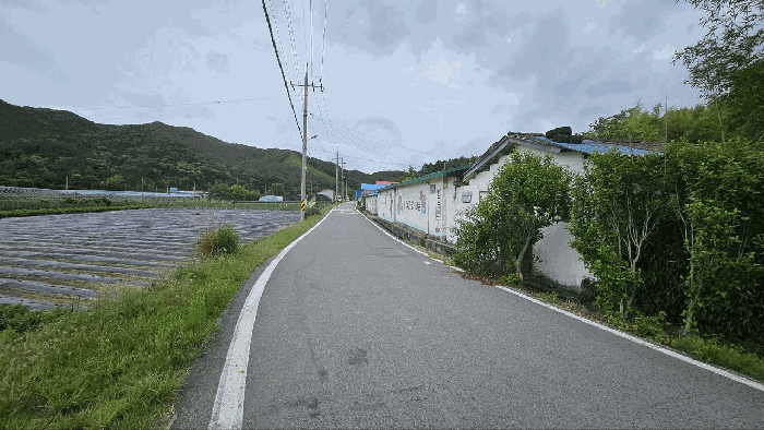 전라남도 장흥군 장동면 북교리 444 외 3필지 전 경매 사진 8