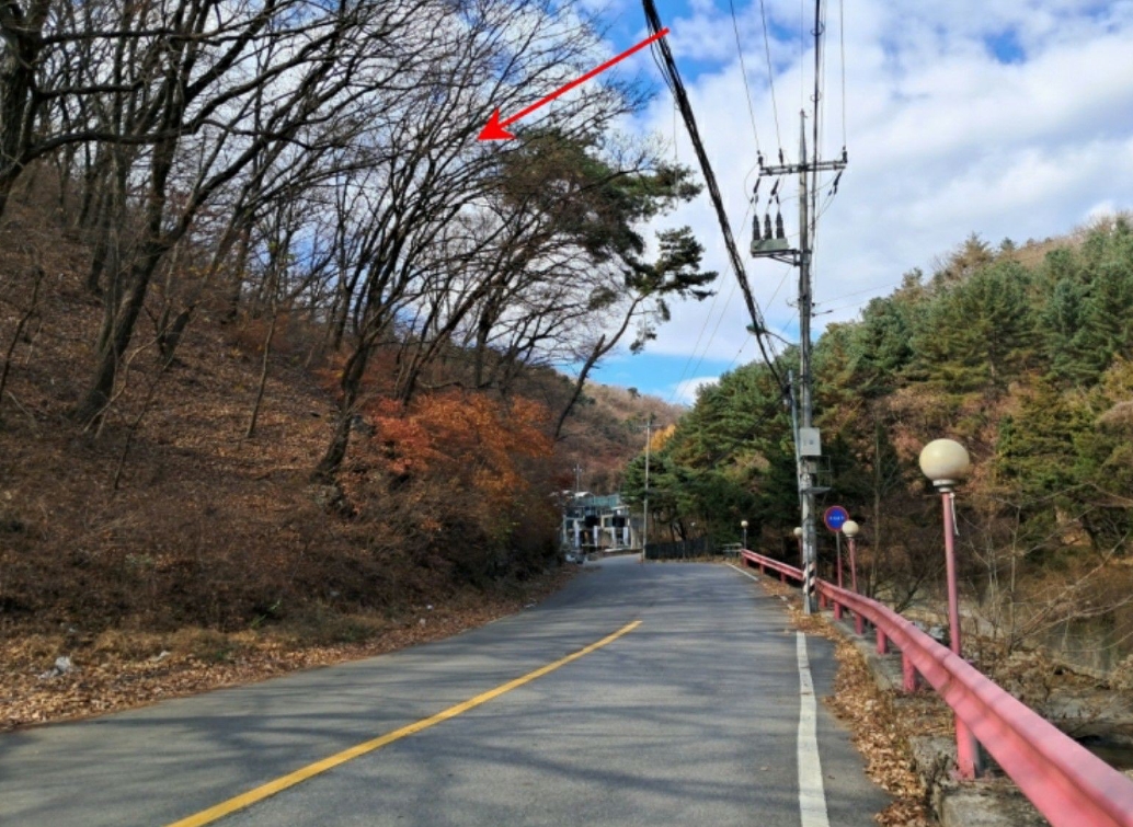 경기도 양주시 장흥면 석현리 산167 임야 경매 사진 35