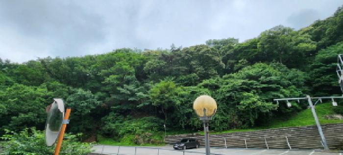 경기도 양주시 장흥면 석현리 산167 임야 경매 사진 40