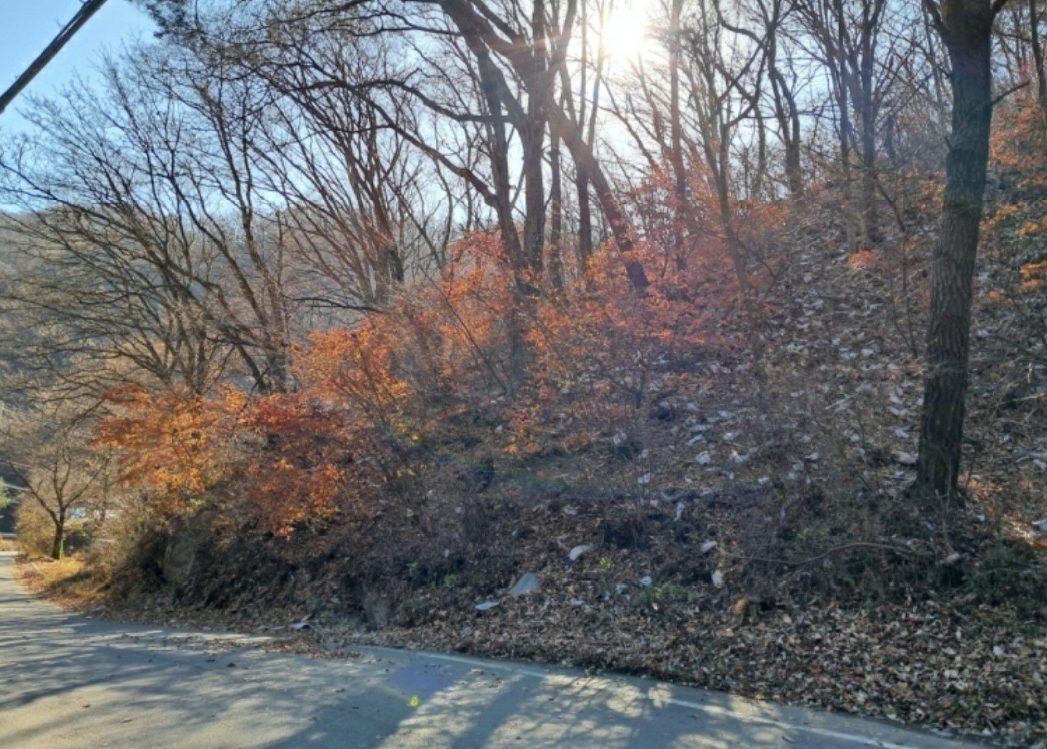 경기도 양주시 장흥면 석현리 산167 임야 경매 사진 28