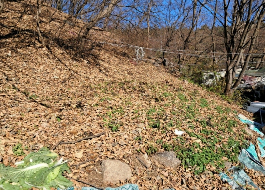 경기도 양주시 장흥면 석현리 산167 임야 경매 사진 29