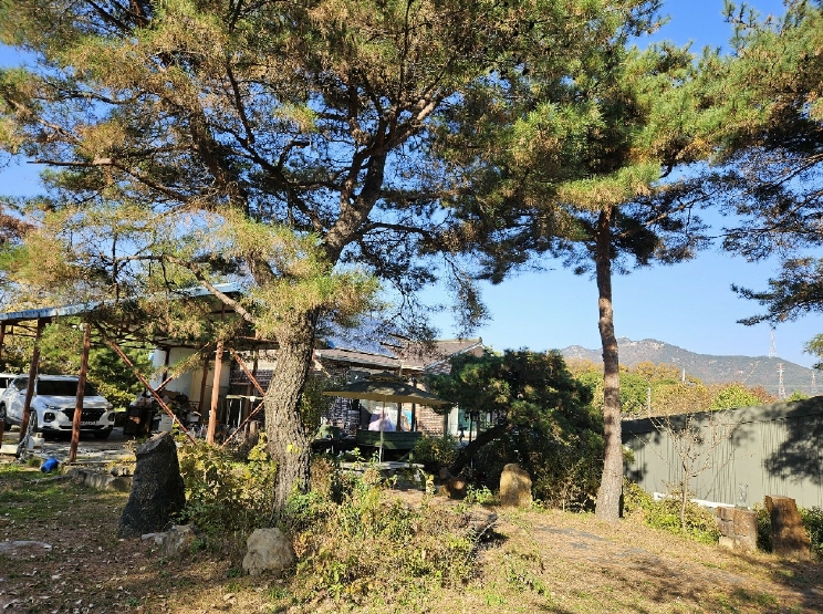 경기도 양주시 어둔동 383 답 경매 사진 5