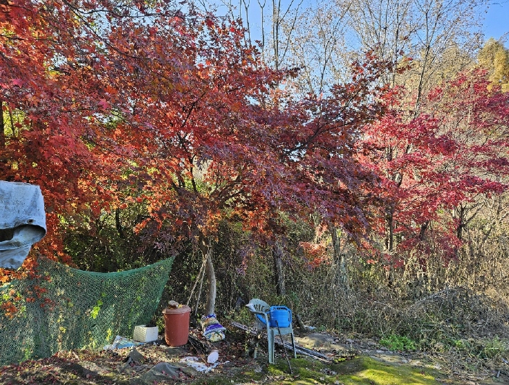 경기도 양주시 어둔동 383 답 경매 사진 7