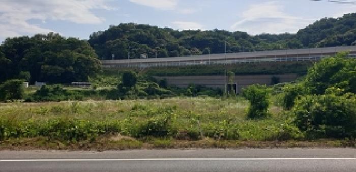 충청남도 예산군 응봉면 평촌리 92-2 답 경매 사진 6