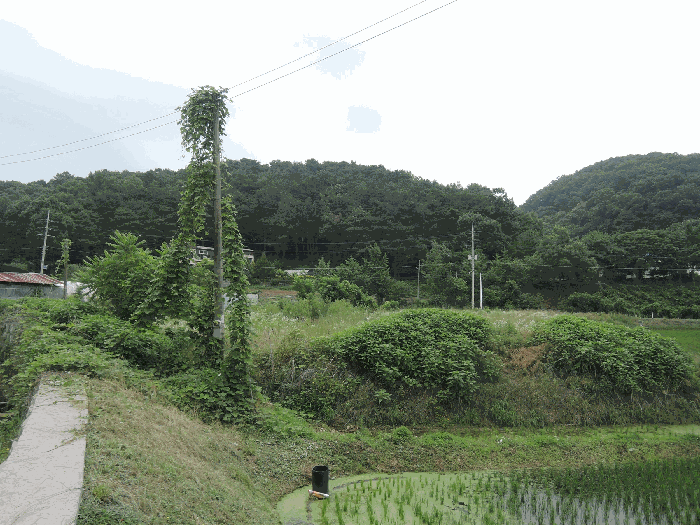 충청남도 예산군 응봉면 평촌리 92-2 답 경매 사진 9