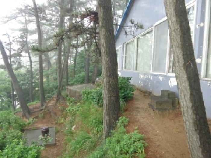 충청남도 태안군 소원면 모항리 1324-3 임야 경매 사진 16