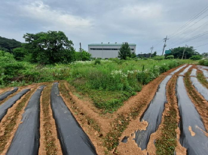 충청남도 당진시 송악읍 부곡리 354-4 답 경매 사진 17