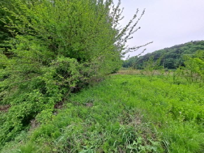 충청남도 당진시 시곡동 758-2 외 1필지 전 경매 사진 8