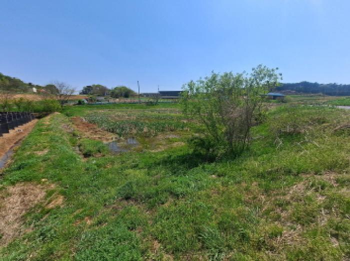 충청남도 당진시 송악읍 금곡리 188 외 1필지 답 경매 사진 2
