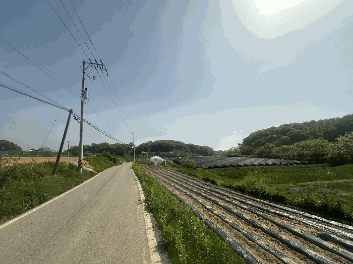 충청남도 당진시 송악읍 금곡리 188 외 1필지 답 경매 사진 13