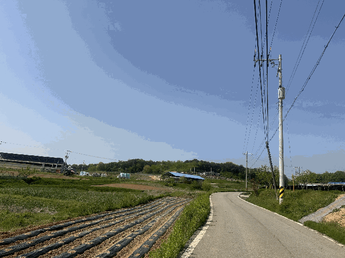 충청남도 당진시 송악읍 금곡리 188 외 1필지 답 경매 사진 15