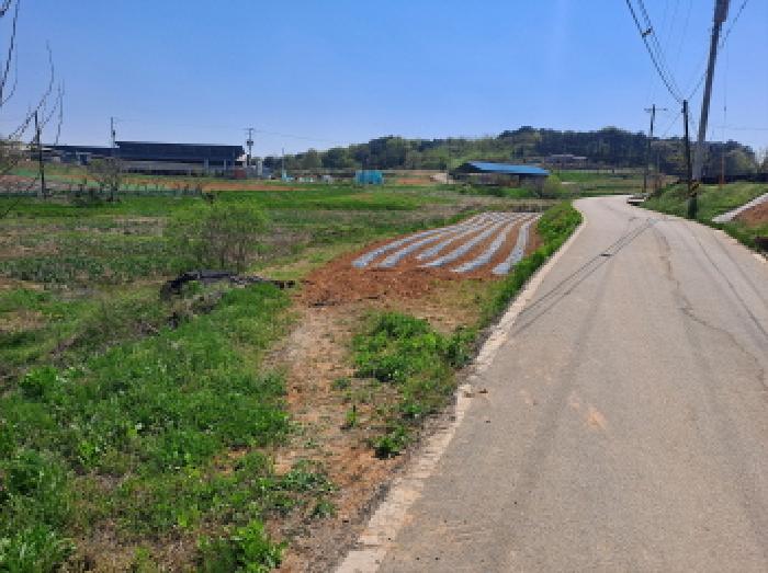 충청남도 당진시 송악읍 금곡리 188 외 1필지 답 경매 사진 8