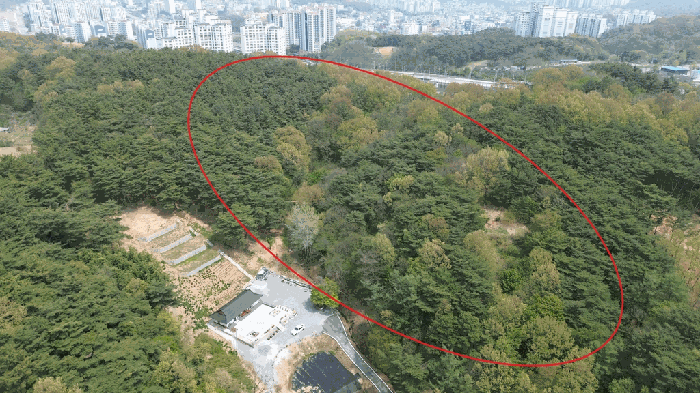 충청남도 당진시 채운동 782-7 외 3필지 임야 경매 사진 20