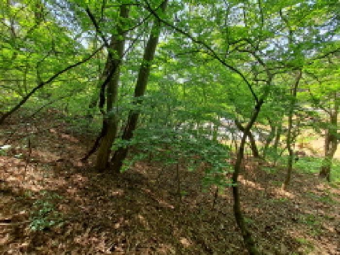 충청남도 당진시 채운동 782-7 외 3필지 임야 경매 사진 6