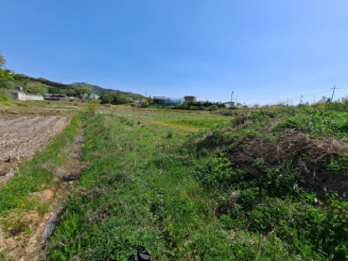 충청남도 당진시 면천면 성상리 1035-1 외 3필지 답 경매 사진 21