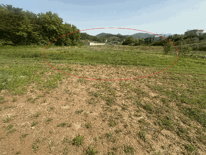 충청남도 당진시 면천면 성상리 1035-1 외 3필지 답 경매 사진 37