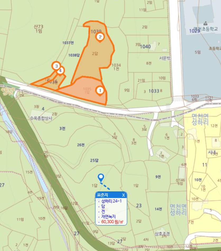 충청남도 당진시 면천면 성상리 1035-1 외 3필지 답 경매 사진 38