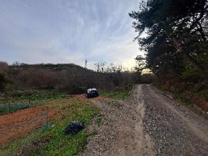 충청남도 당진시 송악읍 영천리 286-25 외 3필지 임야 경매 사진 1
