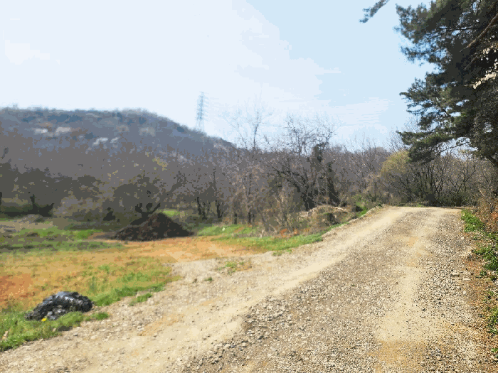 충청남도 당진시 송악읍 영천리 286-25 외 3필지 임야 경매 사진 21