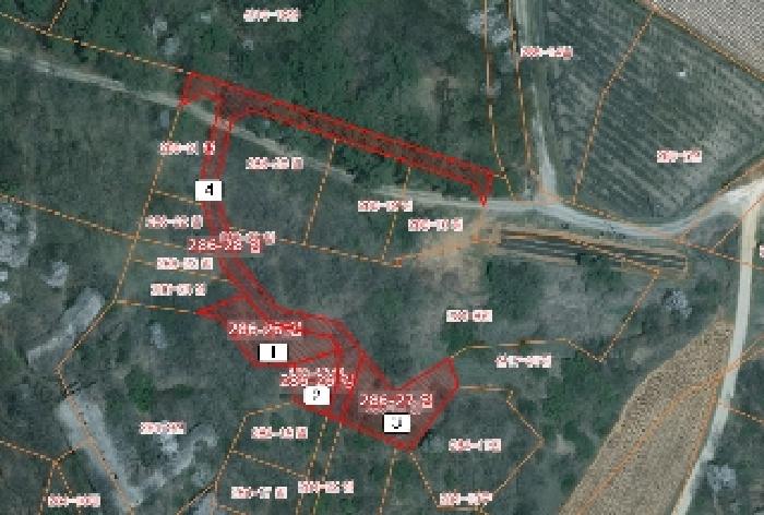 충청남도 당진시 송악읍 영천리 286-25 외 3필지 임야 경매 사진 5