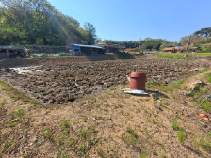 충청남도 당진시 송산면 당산리 192 전 경매 사진 2