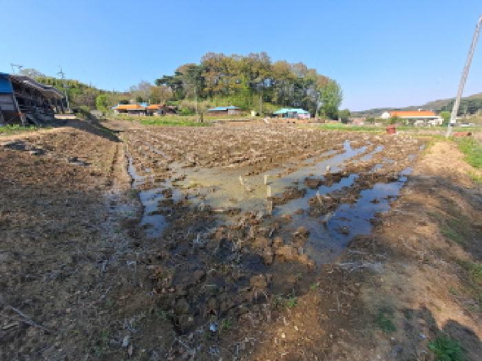 충청남도 당진시 송산면 당산리 192 전 경매 사진 4