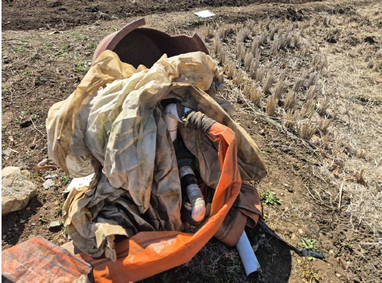 충청남도 당진시 송산면 당산리 192 전 경매 사진 7