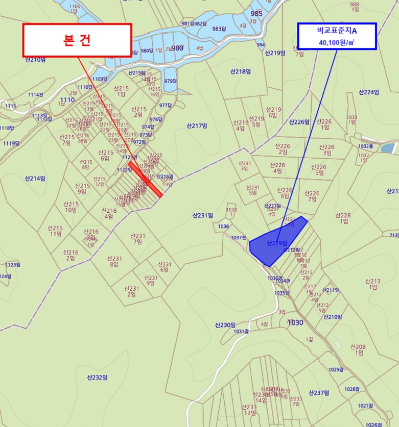 경상북도 포항시 북구 양덕동 산216-8 임야 경매 사진 12