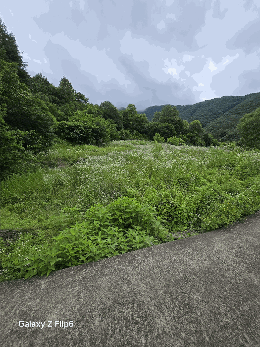 경상남도 창원시 마산회원구 내서읍 안성리 389 답 경매 사진 14