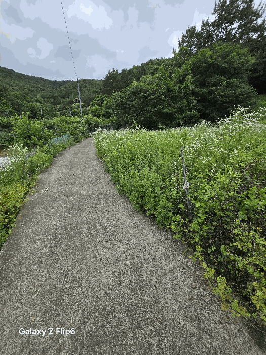 경상남도 창원시 마산회원구 내서읍 안성리 389 답 경매 사진 15