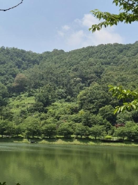 전라남도 화순군 화순읍 교리 산18 임야 경매 사진 14