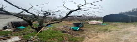 전라남도 무안군 일로읍 망월리 77 답 경매 사진 1