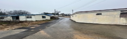 전라남도 무안군 일로읍 망월리 608-1 답 경매 사진 1