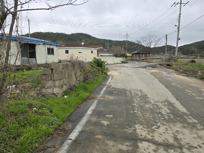 전라남도 무안군 일로읍 망월리 608-1 답 경매 사진 5