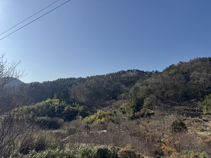 전라남도 순천시 금곡동 287 전 경매 사진 3