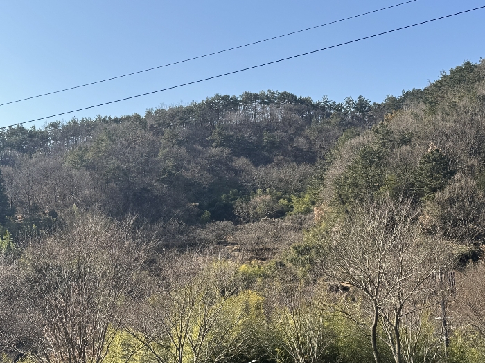 전라남도 순천시 금곡동 287 전 경매 사진 4