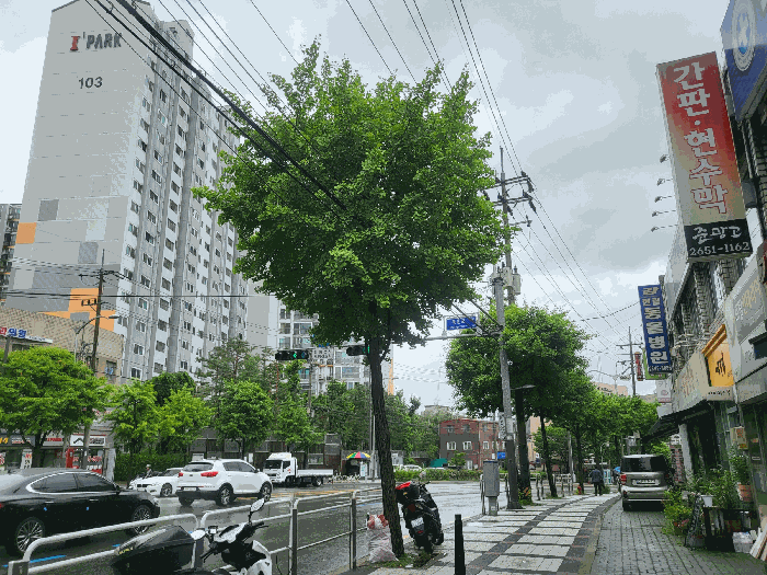 서울특별시 강서구 등촌동 715 등촌동아이파크 제117동 제12층 제1202호 아파트 경매 사진 23