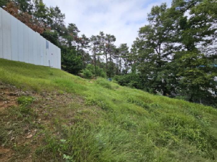 경기도 용인시 기흥구 언남동 산73 임야 경매 사진 23