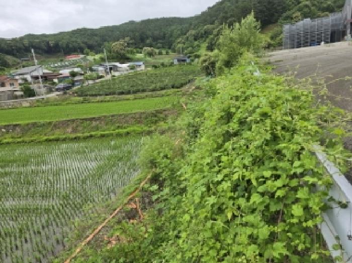 충청북도 청주시 상당구 미원면 쌍이리 256 외 9필지 공장 경매 사진 5