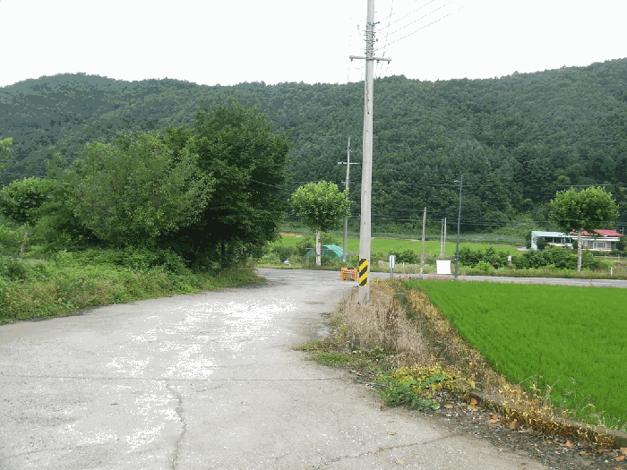 충청북도 청주시 상당구 미원면 쌍이리 256 외 9필지 공장 경매 사진 49