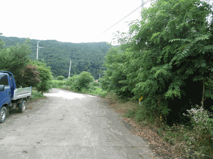 충청북도 청주시 상당구 미원면 쌍이리 256 외 9필지 공장 경매 사진 52