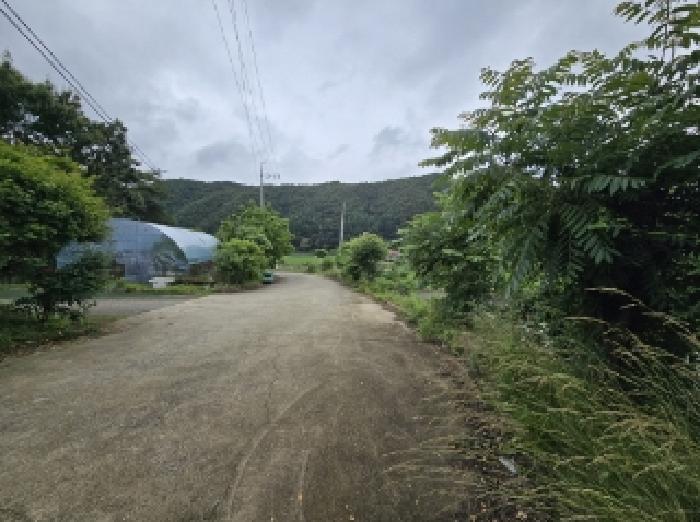 충청북도 청주시 상당구 미원면 쌍이리 256 외 9필지 공장 경매 사진 8