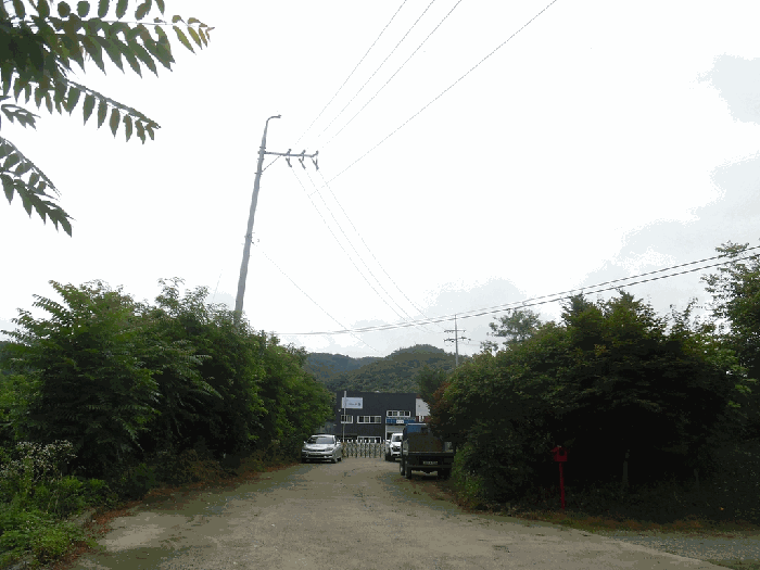 충청북도 청주시 상당구 미원면 쌍이리 256 외 9필지 공장 경매 사진 71