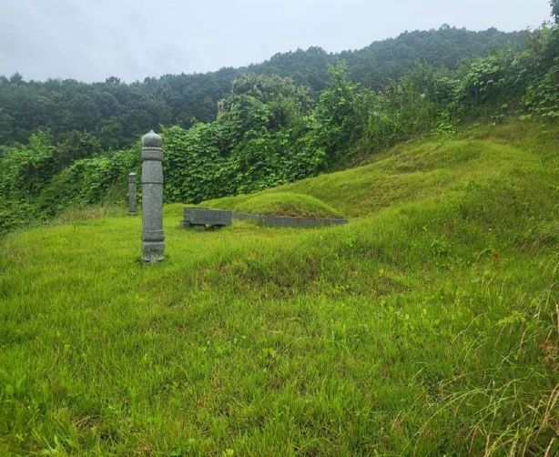 충청북도 괴산군 사리면 화산리 725 외 2필지 전 경매 사진 3