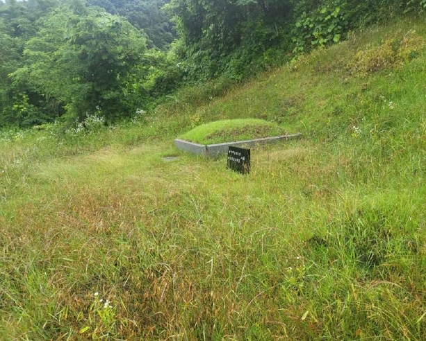 충청북도 괴산군 사리면 화산리 725 외 2필지 전 경매 사진 4